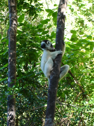 ../Images/Madagaskar, 25.05.-10.06.07, Foto (307).JPG